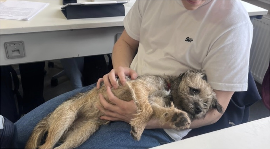 Ein Schüler hält einen entspannten Hund im Arm