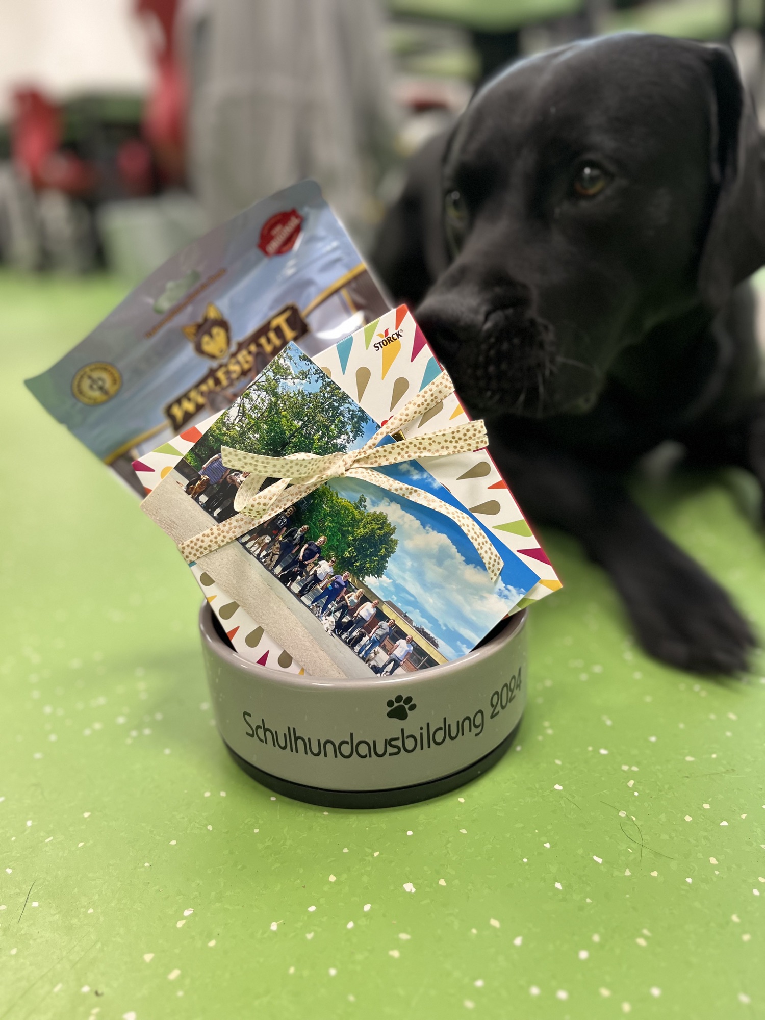 Erinnerung an den Abschluss einer Schulhundeausbildung